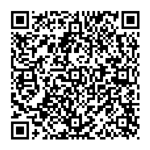 人群鸟兽散 也无人阻拦 留在此地的人都是各怀鬼胎 散修纷纷离开 十大门派的弟子以及领头人却是不曾动弹二维码生成