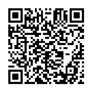 人越是害怕什么就会越是失去什么……周灵儿终于失去了秦天二维码生成