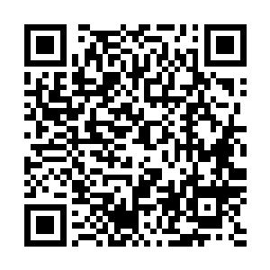 人选就让我们在合格的与不合格之间随意挑选几个比试如何二维码生成