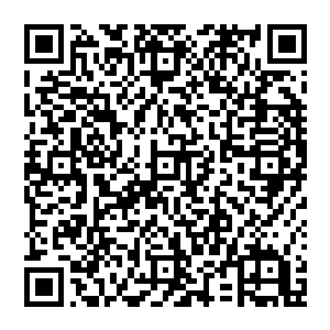 人面蚊时的云滇以及拯救中医的壮举――一个人愿意以命相搏并且不怕人耻笑的选择成为一个理想主义者二维码生成