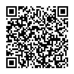 什么东西竟然连昊天拍卖行那群见多识广的拍卖师也认不出来历和作用二维码生成