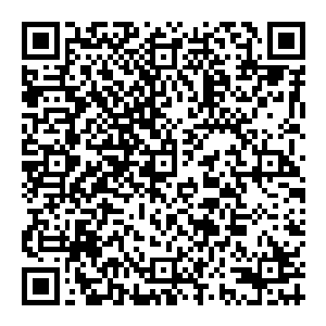 什么天剑山……那把剑……作用……已经不大了……那是为了制作剑鞘而仿造……出来的……所有答案皆在剑鞘上……二维码生成