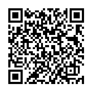 什么时候你能在三十秒内布置出分毫无差的幻中镜阵法二维码生成