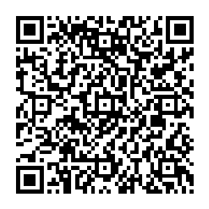 什么样的实力在大力少爷无敌的运气面前都得跪啊――那个魔都木家的大少爷木子潇就跪了二维码生成