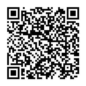 什么狗屁秘传能比得上老子的曼殊沙华因缘万果宝树和后面要生成的铁胎淬体果二维码生成