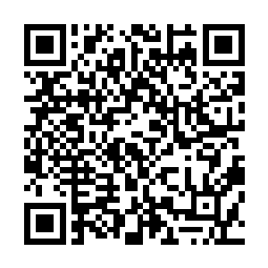 什么都不为……这些无血无泪的家伙直到完全不能动弹为止二维码生成