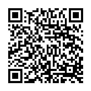 仅仅两个小时之后克里斯和布朗就己经确定了犯罪人的使用工具二维码生成
