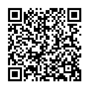 仅仅只在开场时候登场几分钟念了一段稿子的主持人孙若璇二维码生成