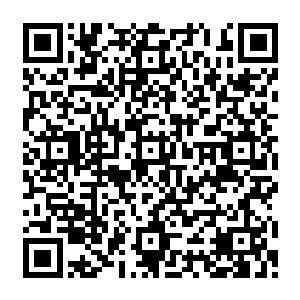 仅仅只是亲王实力的血族势力在这种暴怒的状态之下居然已经快要达到领主级别的实力了二维码生成