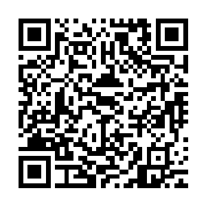 仅仅只有一脸警惕的赵虎和站在赵虎身边的安妮没有任何行动二维码生成