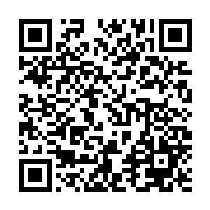 仅仅数秒钟的时间就被林辰带来像是黑狼一般的生物所击垮二维码生成