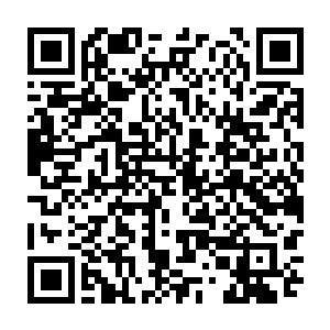 仅仅是……跟不上道天进步的能级抬升――别用这样不可思议的眼神看我二维码生成