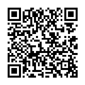 仅仅是因为他在钻研演技过程中无耻而荒谬的失控二维码生成