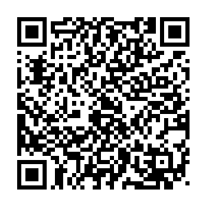 仅仅是穿着一件黑色小礼服的夏天明显抗不住这城市里满满地凉意二维码生成