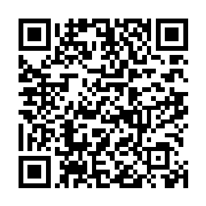 仅他看到的上位血族数量就远远超过一个城堡应有的规模二维码生成