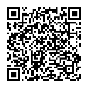 仅启动主线任务时系统所赐予的天赋异能便已经足以为楚旬开启强者之门了二维码生成