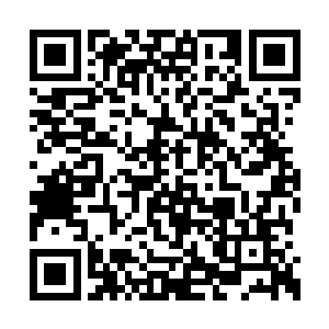 仅是针对海杰星和海魁星的的行动分成了两部分二维码生成