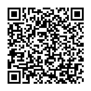 仅次于如今的家主柳老爷子和柳家的老管家这两个大师级高手而已二维码生成