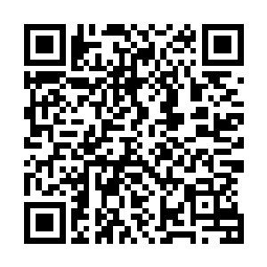 仅靠列文现在手中所掌握的金字塔集团在伯利兹所做的一切二维码生成