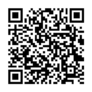 今后他可以更多的往小信徒的体内注入神力而不用担心伤害他二维码生成