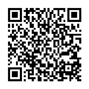 今后你们会遇到的敌人可就不是那些提醒庞大灵敏不够的灵兽了二维码生成