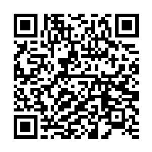 今天一天都在心里翻滚不已的一点小小蠢动终于再也压制不住了二维码生成