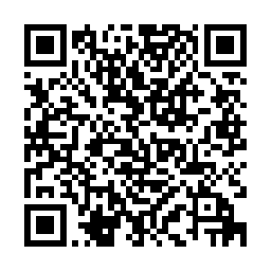 今天下午的时候宁毅便在屋顶上见他顺手拿了根铁门栓站在门口二维码生成