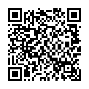 今天中午的海市电视台在民生新闻里播放了一条这样的新闻二维码生成