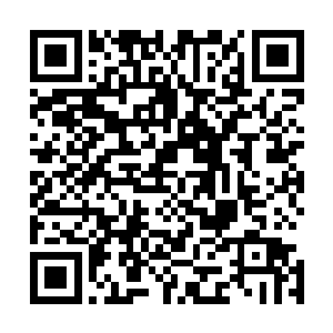 今天他虽然在和格斗天团的人交手的过程当中受了一点轻伤二维码生成