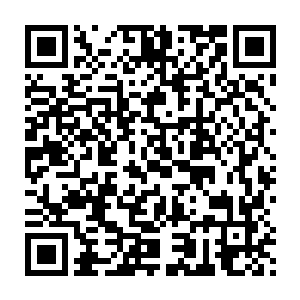 今天听着老娘絮絮叨叨的贝海一点儿也不觉得心烦反而是一脸的笑容二维码生成
