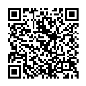 今天应该可以在那里欣赏一场小规模的群狼啸月是什么样的景象二维码生成