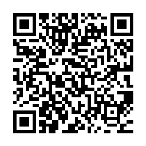 今天我代表族长来就以宇文长老为列子正式开始整顿族中风气二维码生成