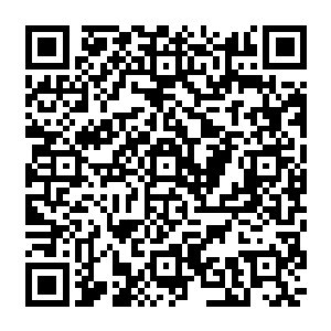 今天早晨咱们南京应天府的府尹被钦差派人给抓走了……据说是牵扯了什么夺人家产的案子二维码生成