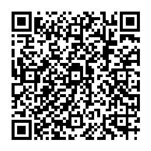 今天是你们最后一次的质检考试了……再往后就只有小测和决定你们人生命运的高考了二维码生成