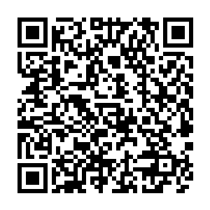今天是佣兵大会的最后一天　华莱士代表佣兵协会　在总部大楼举办了晚宴二维码生成