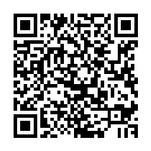 今天是到政法委研究一个疑难案件几名犯罪嫌疑人的逮捕问题二维码生成