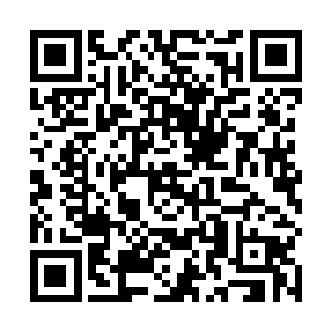 今天晚上估计你肯定是要把他那份分镜头脚本也看完了二维码生成