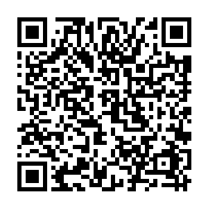 今天晚上我们这些人还完全不顾什么伦理的在这里来偷看人家全村人……二维码生成