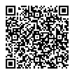 今天有资格到地下室守护并见证族长重返力量巅峰的无一不是家族中最核心也是最厉害的人二维码生成