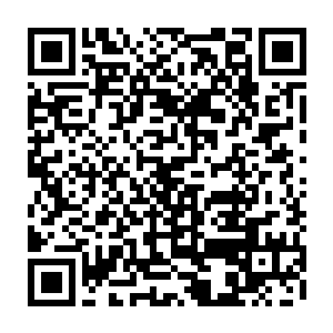 今天由我们一起玩与梦刀塔联盟联合举行了这一次的梦刀塔联盟现场采访节目二维码生成