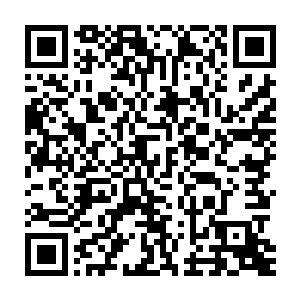 今天的事不能再发生了――下次切萨来上课的时候你绝对要提前通知我二维码生成