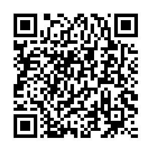 今天的这次拍卖会可以说是他有史以来主持的最为纠结的一次了二维码生成