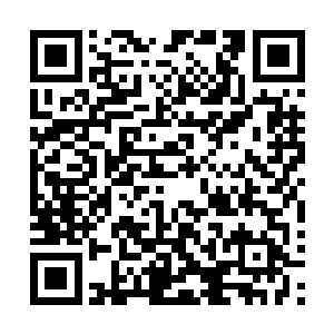 今天给你们讲一个妈妈和舅舅小时候去从林里野营的故事吧二维码生成