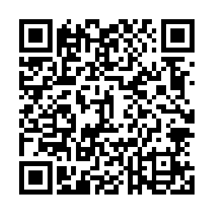 今天那些人即便是看到我也绝对的不会对我有任何的行动的二维码生成