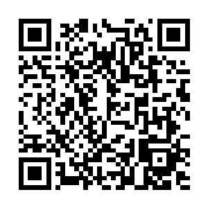 今年天行集团对经济数据的增长贡献率超过百分之五二维码生成