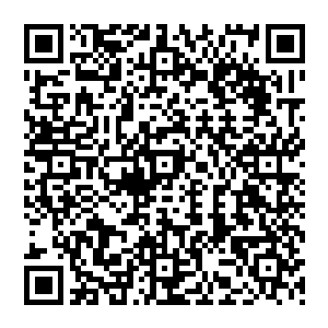 今年开始原本服务于一世和二世号的伯格曼兄弟就一起购买了新船离开了森特的船自己单干了二维码生成