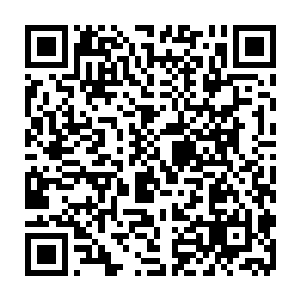 今年我们学校的推荐生名额现在所有人看好的是格力斯和一个叫布尔维克的学生二维码生成