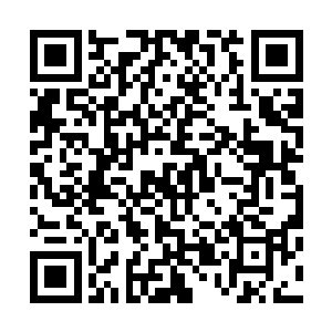 今日你的词锋比你的剑还要更利……这可不像你平时的模样二维码生成