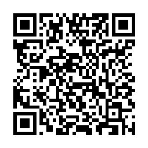 今早又有几家银行打电话过来咨询连凯的财务情况了二维码生成