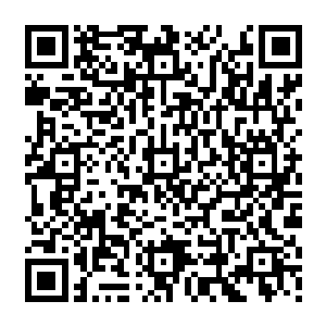 今晚整个文涂县的那些帮派大佬以及和他们有利益牵扯的那些人也全都没用办法淡定二维码生成